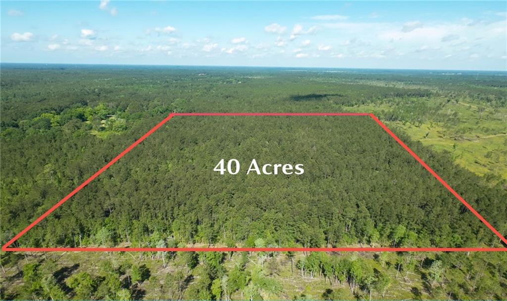 25281 Cleland Road Covington, LA 70435 - Photo 21 of 23