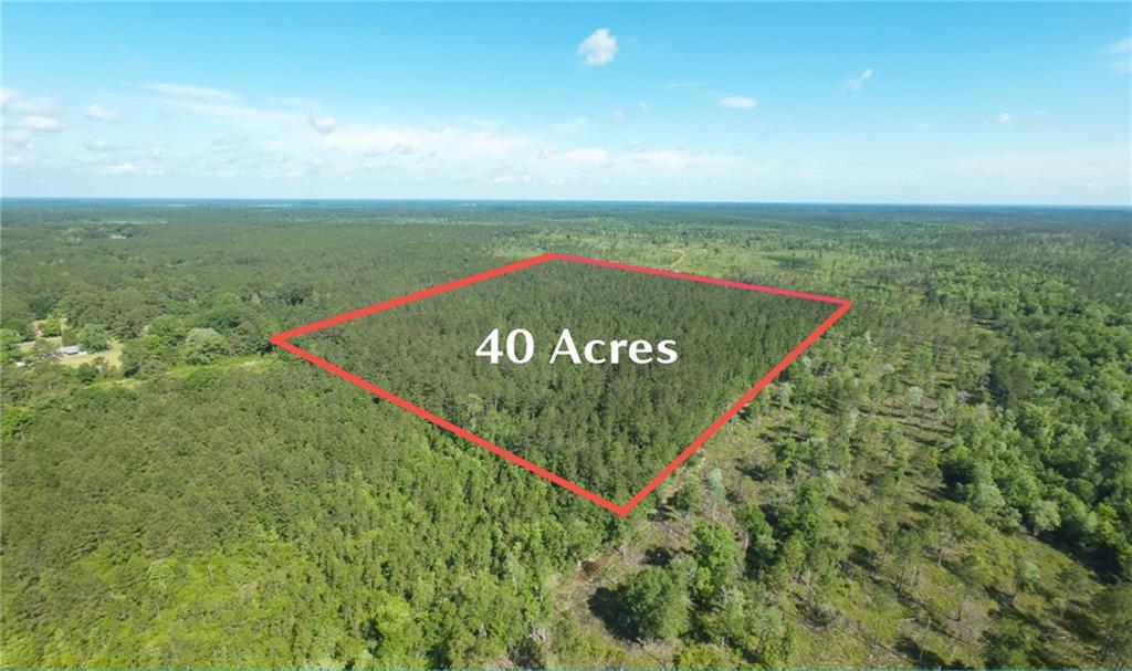 25281 Cleland Road Covington, LA 70435 - Photo 22 of 23