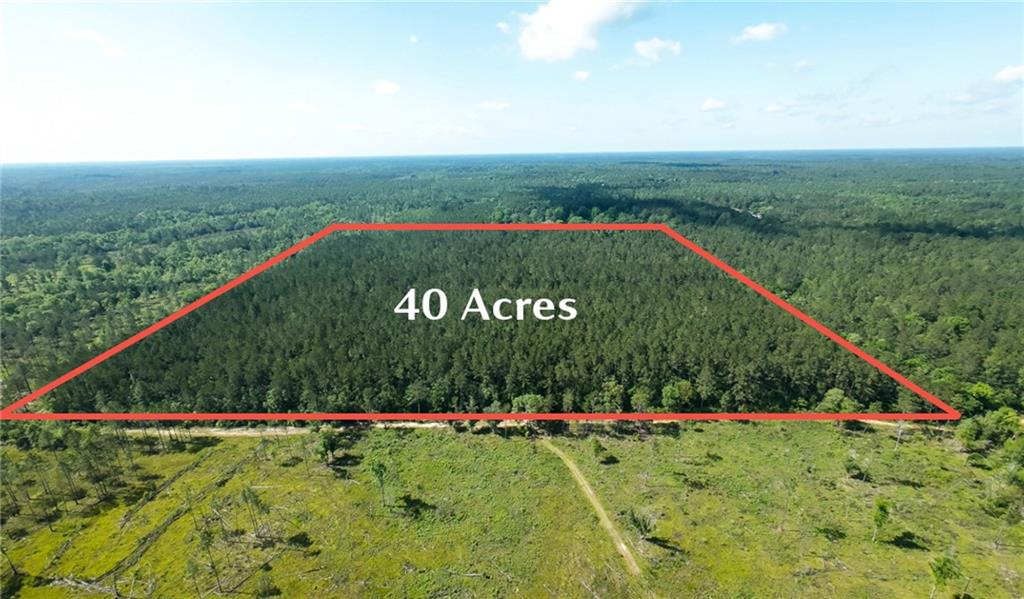 25281 Cleland Road Covington, LA 70435 - Photo 23 of 23