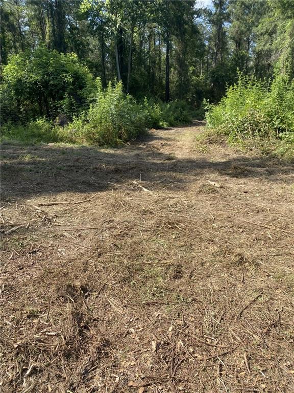 25281 Cleland Road Covington, LA 70435 - Photo 5 of 23