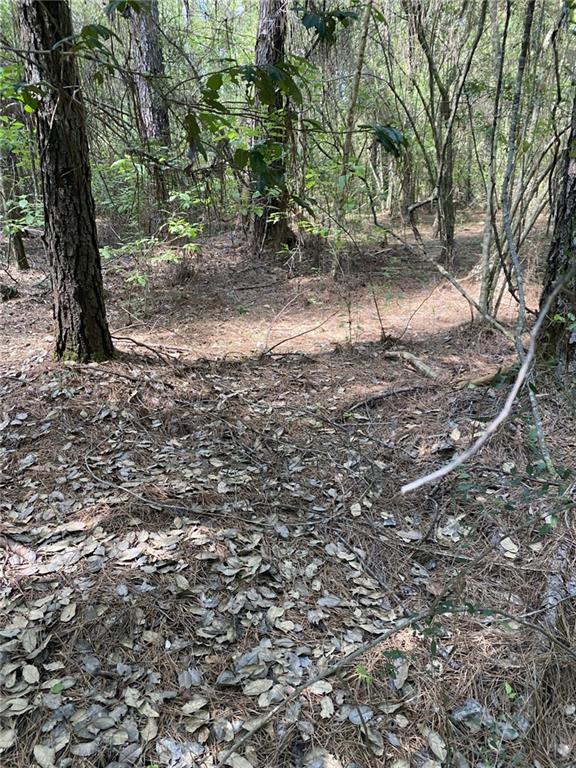 25281 Cleland Road Covington, LA 70435 - Photo 6 of 23