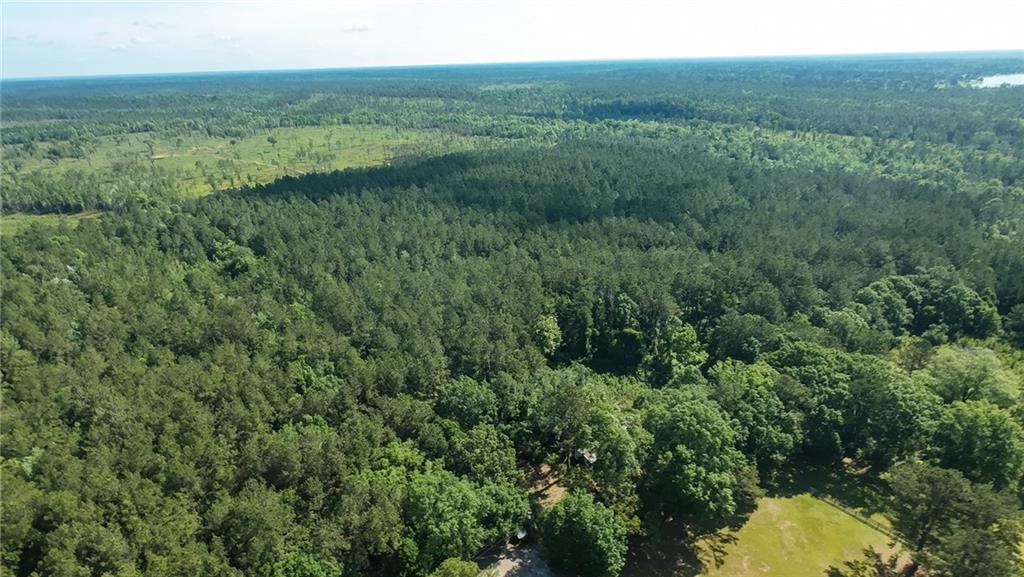 25281 Cleland Road Covington, LA 70435 - Photo 7 of 23