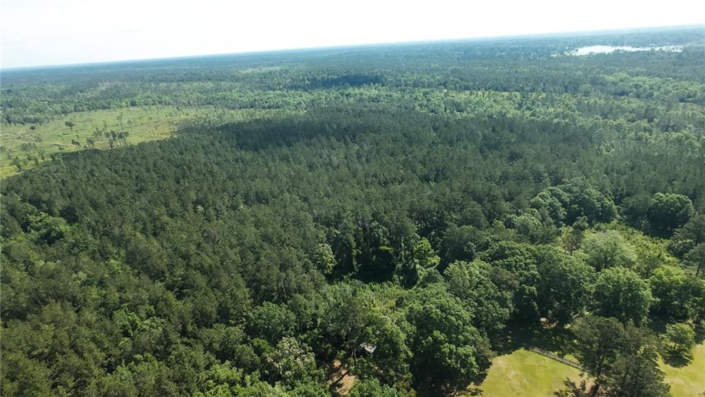 25281 Cleland Road Covington, LA 70435 - Photo 9 of 23