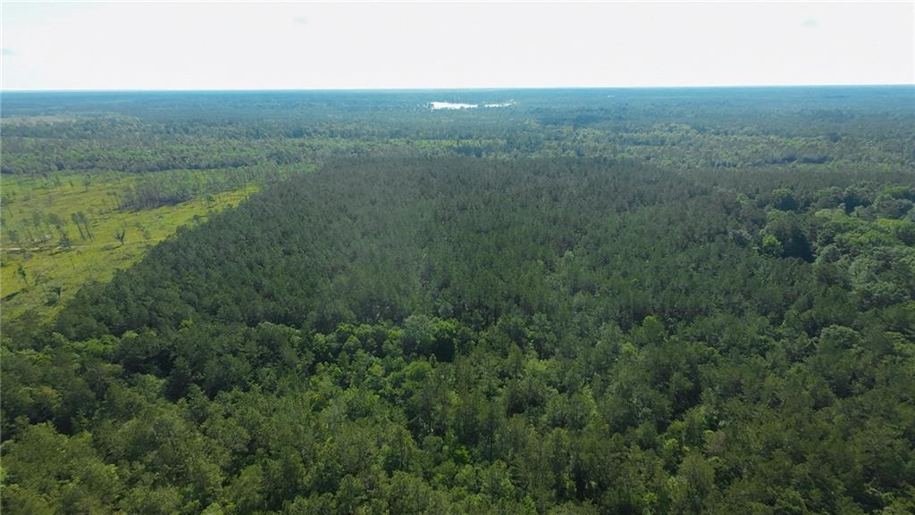 25281 Cleland Road Covington, LA 70435 - Photo 10 of 23