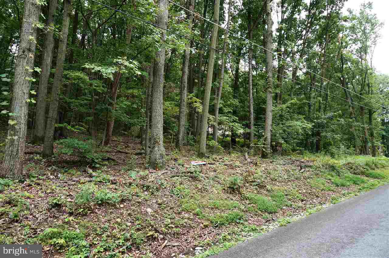 Lot 1 Jackson Square Road Thomasville, PA 17364 - Photo 5 of 12