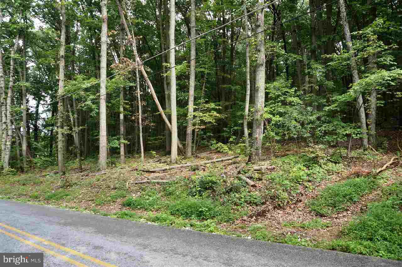 Lot 1 Jackson Square Road Thomasville, PA 17364 - Photo 6 of 12