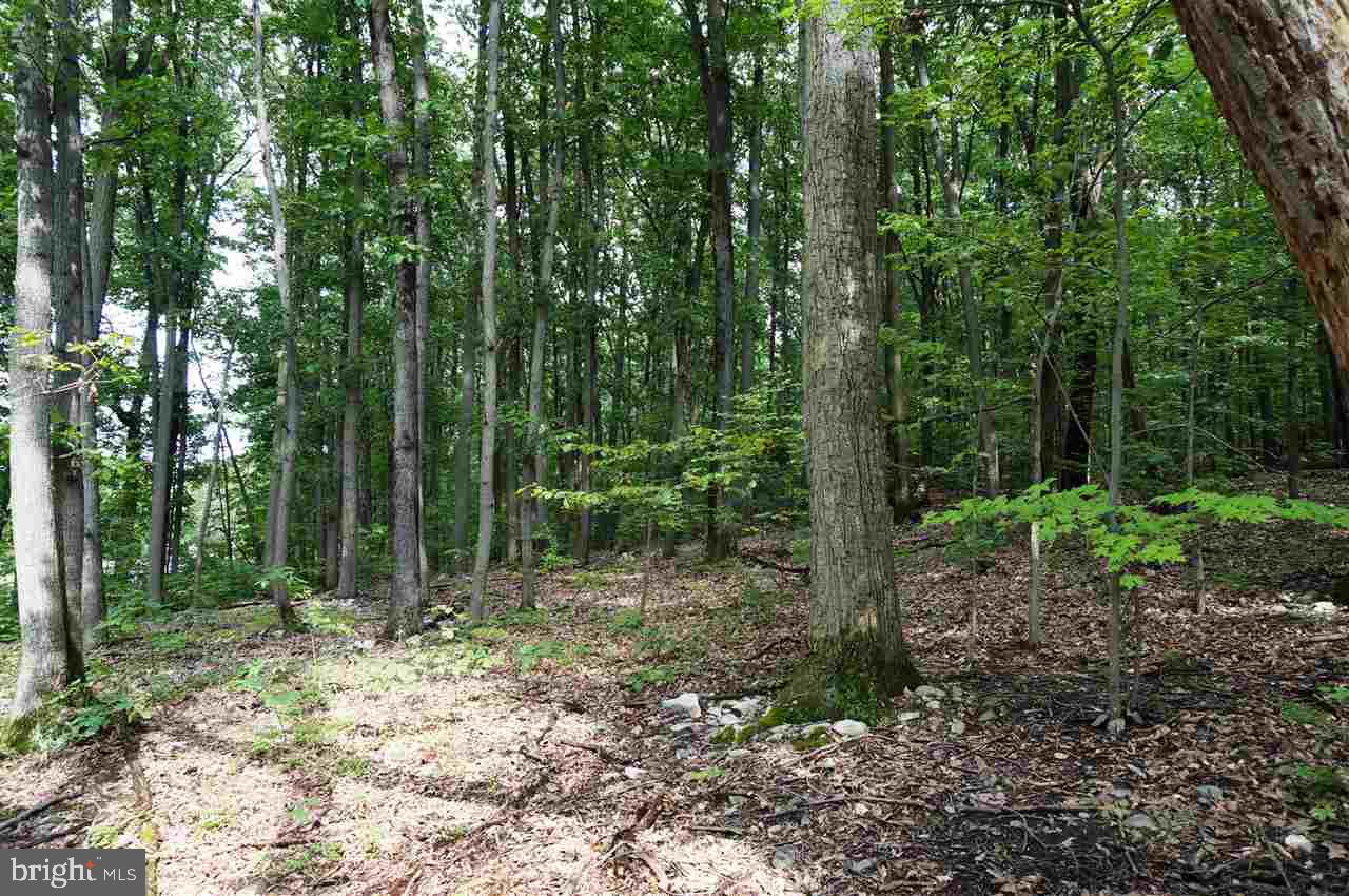 Lot 1 Jackson Square Road Thomasville, PA 17364 - Photo 7 of 12