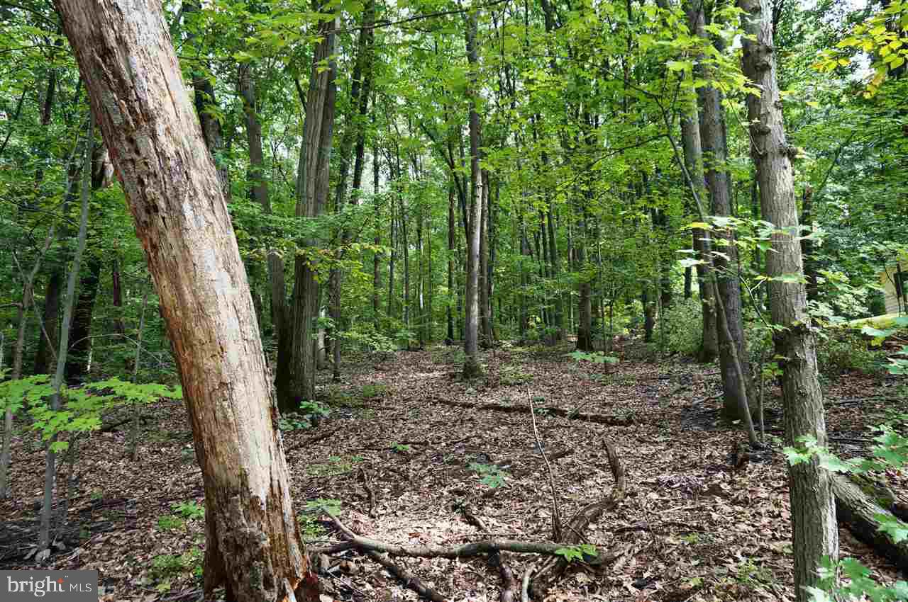 Lot 1 Jackson Square Road Thomasville, PA 17364 - Photo 8 of 12