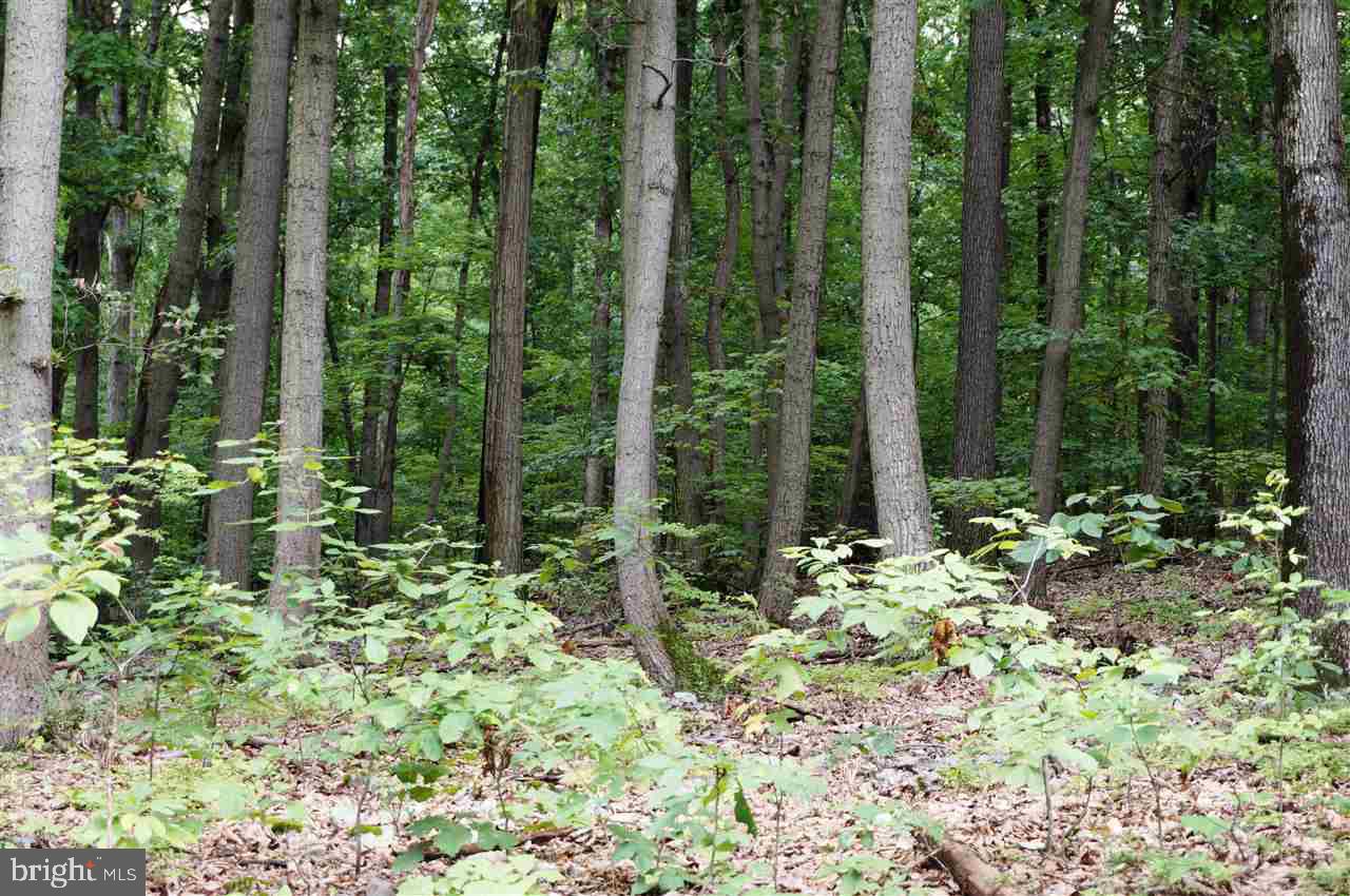 Lot 1 Jackson Square Road Thomasville, PA 17364 - Photo 9 of 12