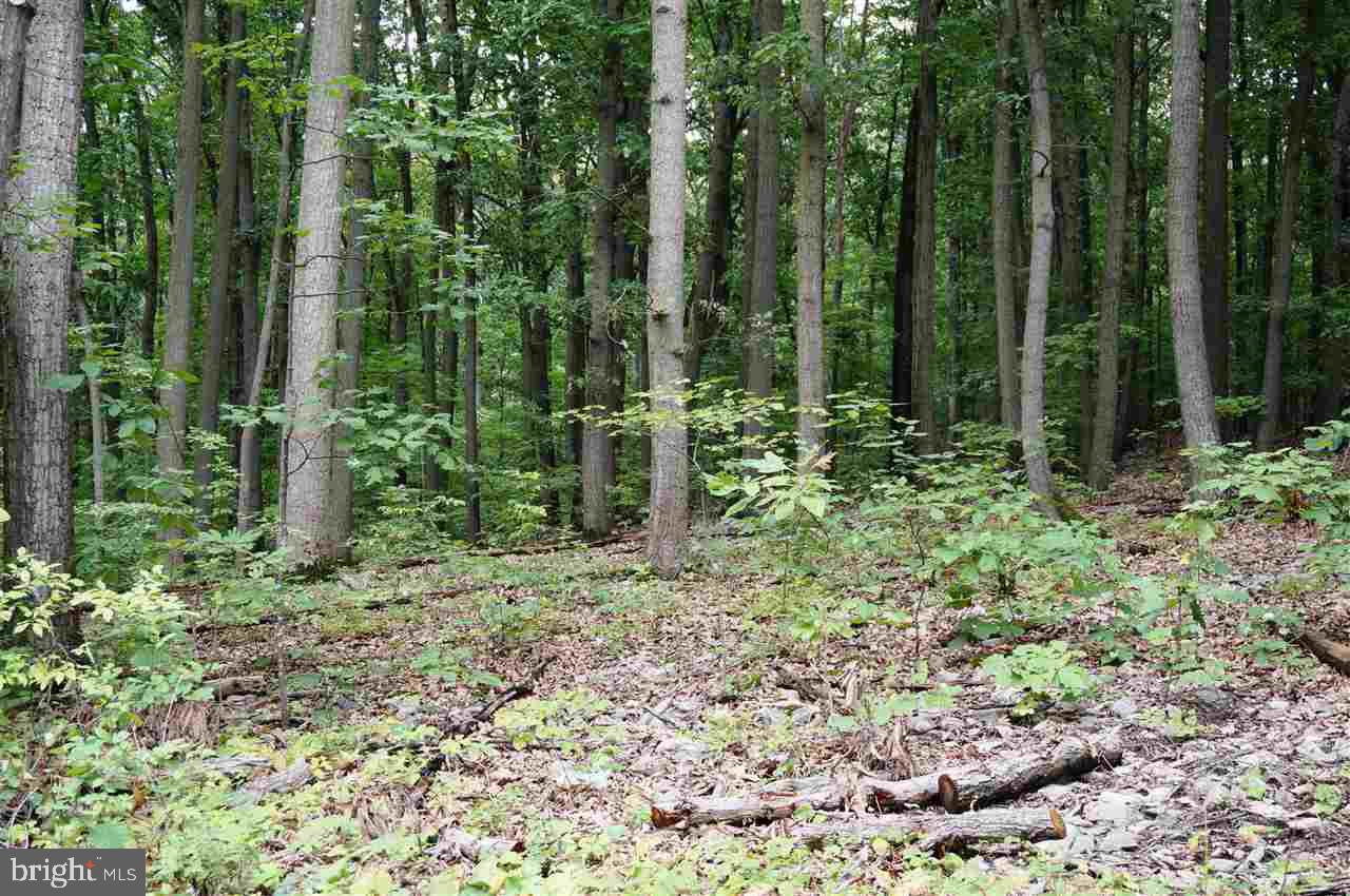 Lot 1 Jackson Square Road Thomasville, PA 17364 - Photo 10 of 12