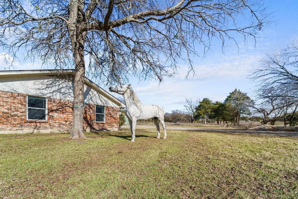 1006 South Clark Road Cedar Hill, TX 75104 - Photo 22 of 29 a view of a house with a yard