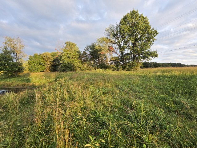 0 East Knox Road Mount Vernon, IL 62864 - Photo 11 of 49 Gallery Image 11