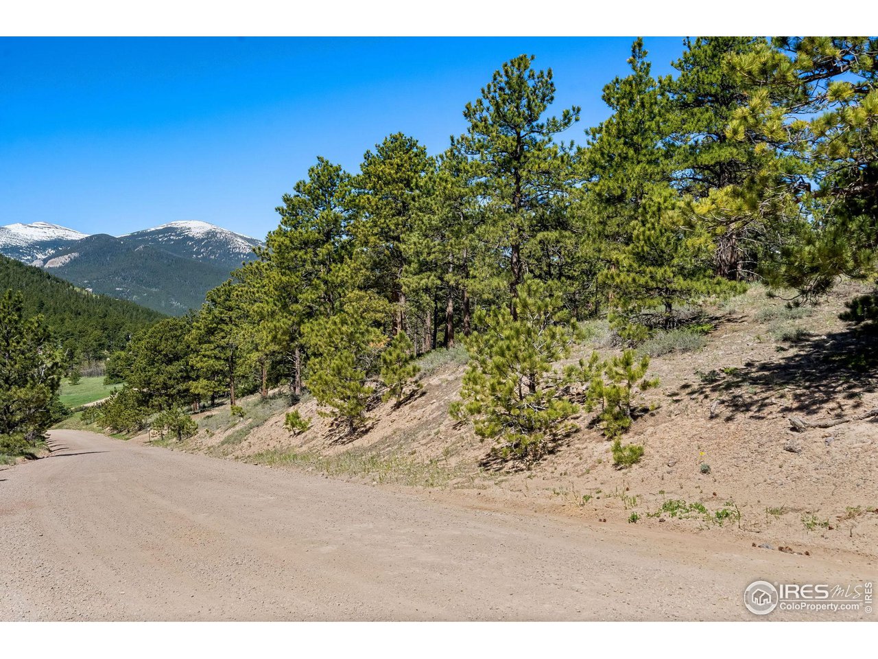 223 Taylor Road Lyons, CO 80540 - Photo 7 of 7