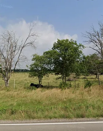 a view of a big yard with large trees