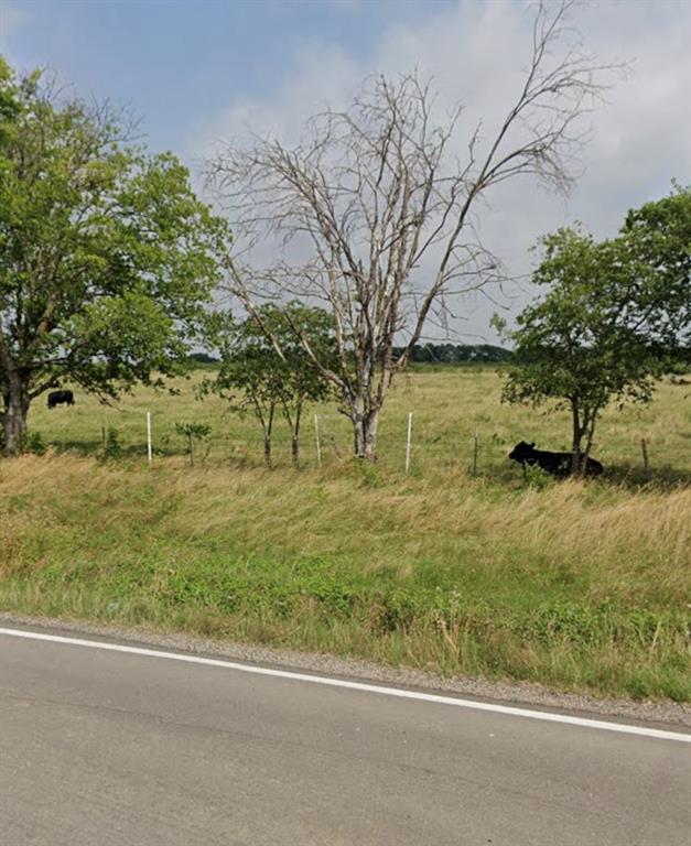 1105 Bell Street Coolidge, TX 76635 - Photo 4 of 7 a view of yard with green space