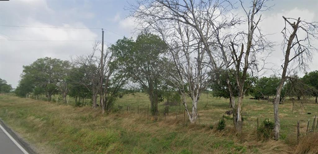 1105 Bell Street Coolidge, TX 76635 - Photo 5 of 7 a view of a forest