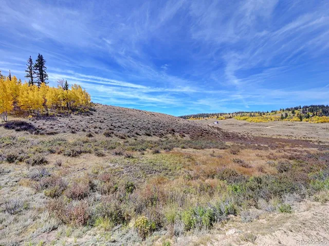 a view of a dry yard with wooden fence