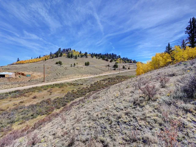 a view of a dry yard with wooden fence