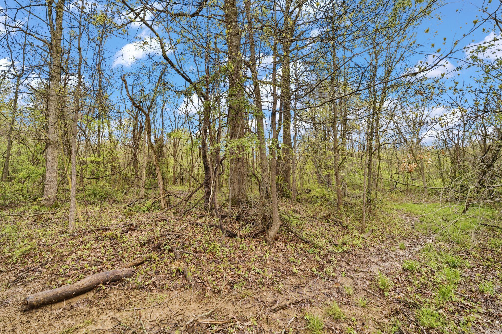 0 Lantz Road Mansfield, OH 44906 - Photo 2 of 28 AF1A3424
