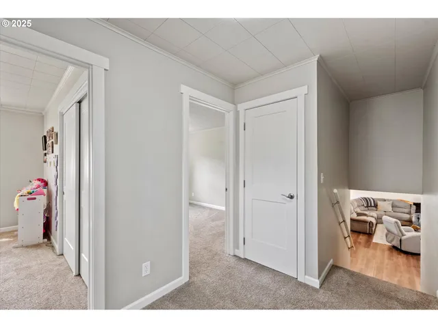 a view interior of the house and livingroom