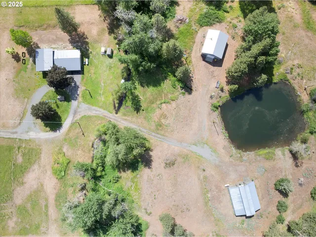 a view of a town with big trees