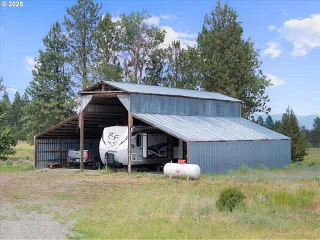 a view of a yard with plants and a large tree