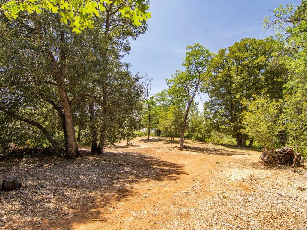 7 West Incense Cedar Road Julian, CA 92036 - Photo 12 of 24 a view of empty space with trees