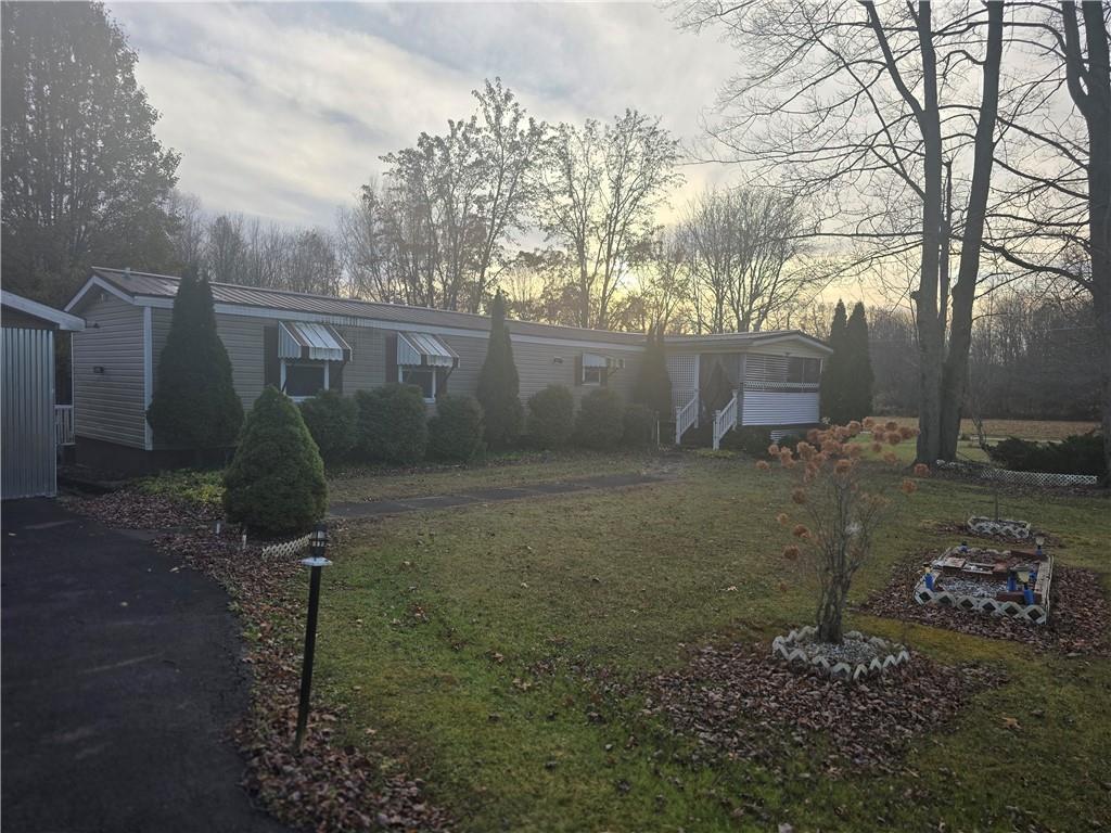 a view of a backyard