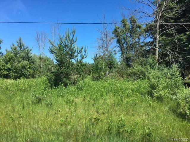 Tbd South Lake Shore Road Harbor Beach, MI 48441 - Photo 3 of 4