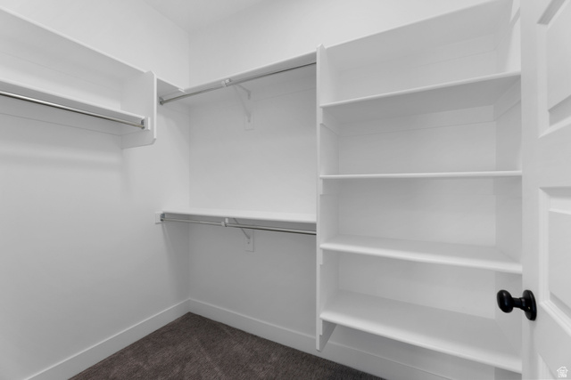 14392 South Champ Cove Draper, UT 84020 - Photo 22 of 31 Walk in closet with dark carpet