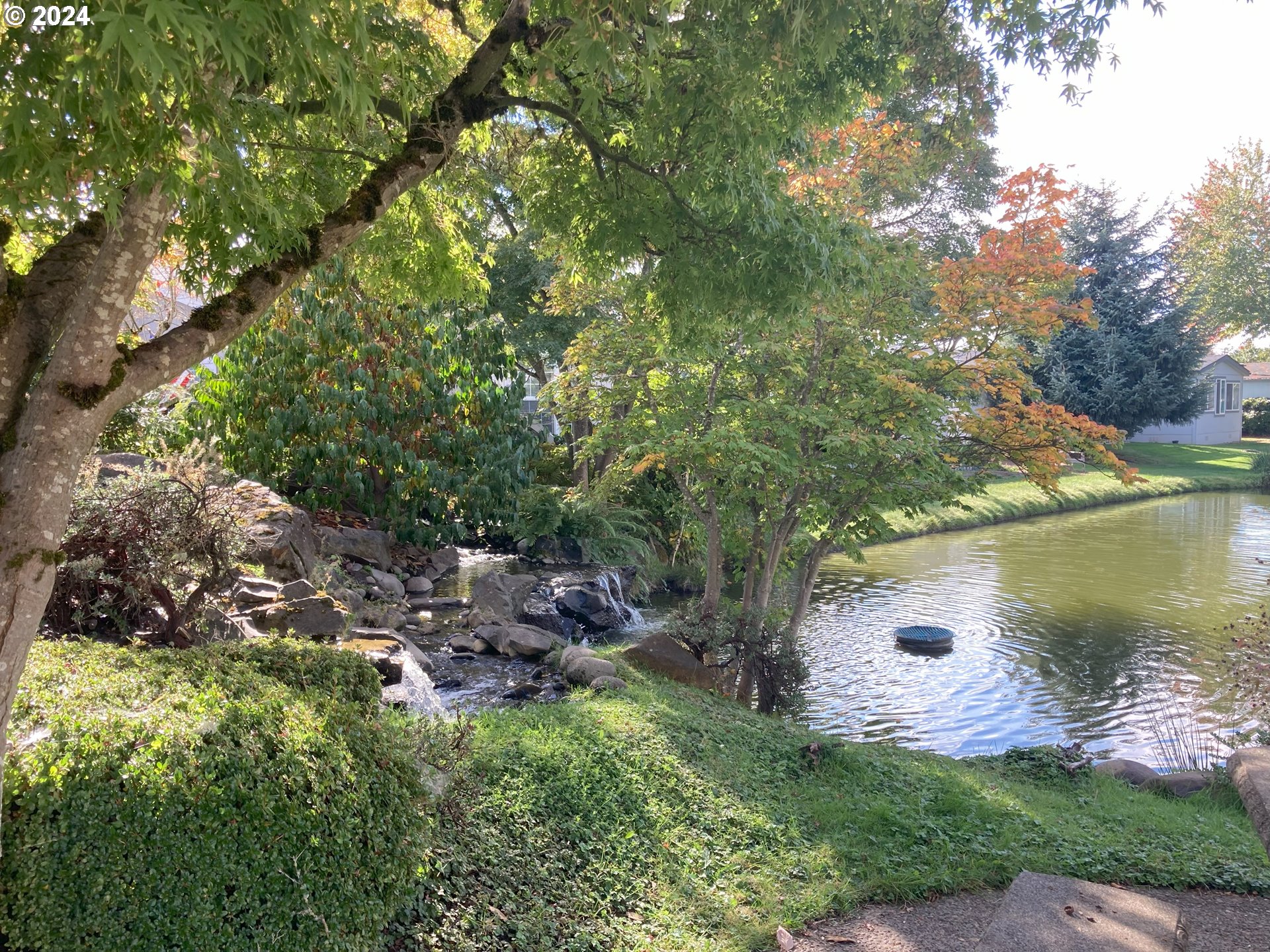 4055 Royal Avenue, Unit 25 Eugene, OR 97402 - Photo 37 of 42 a lake view with a tree