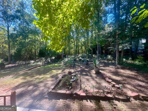 a view of a forest with trees