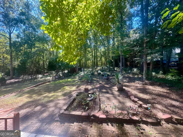 a view of a forest with trees