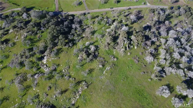 a view of a plant with a plant