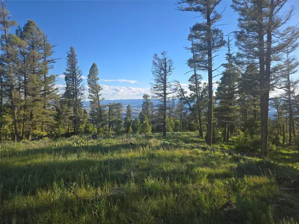 $499,000 | 1 Big Sky Ridge Road, Drummond, MT 59832