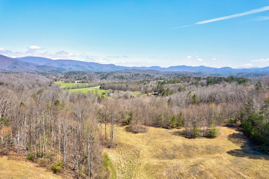 358 Old Jones Road Ellijay, GA 30536 - Photo 4 of 23 Gallery Image 4