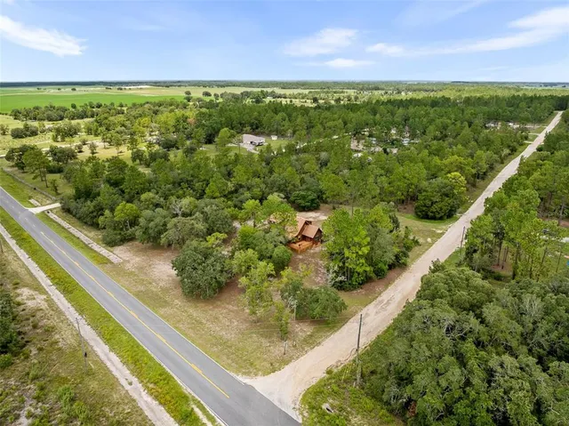 a view of a garden from a window