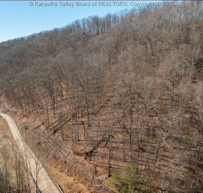 0 Rutledge Road Charleston, WV 25311 - Photo 8 of 9 Gallery Image 8