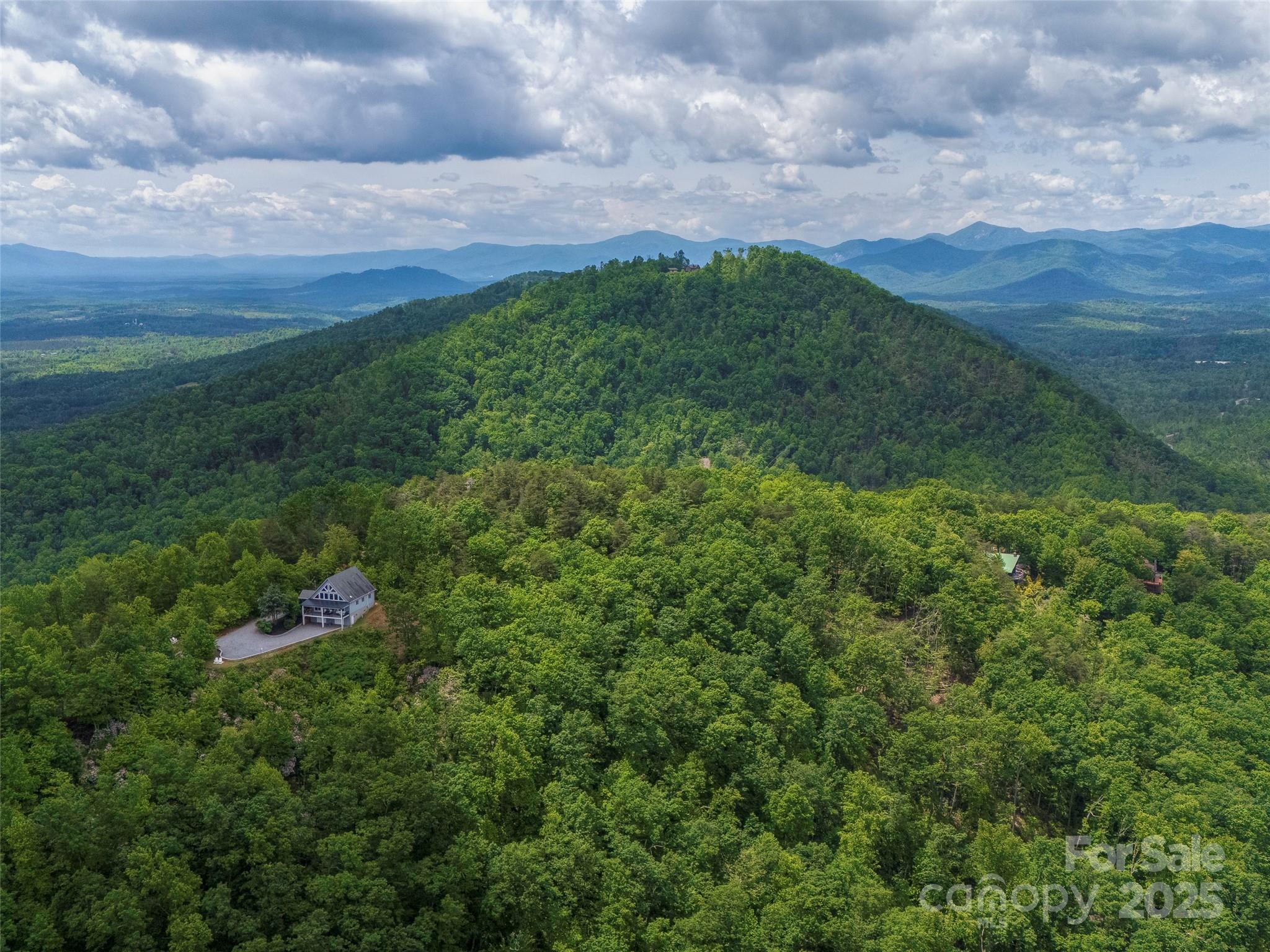 6.48-acres Pinnacle Parkway, Unit 20 Rutherfordton, NC 28139 - Photo 2 of 7 a view of a field of grass and trees
