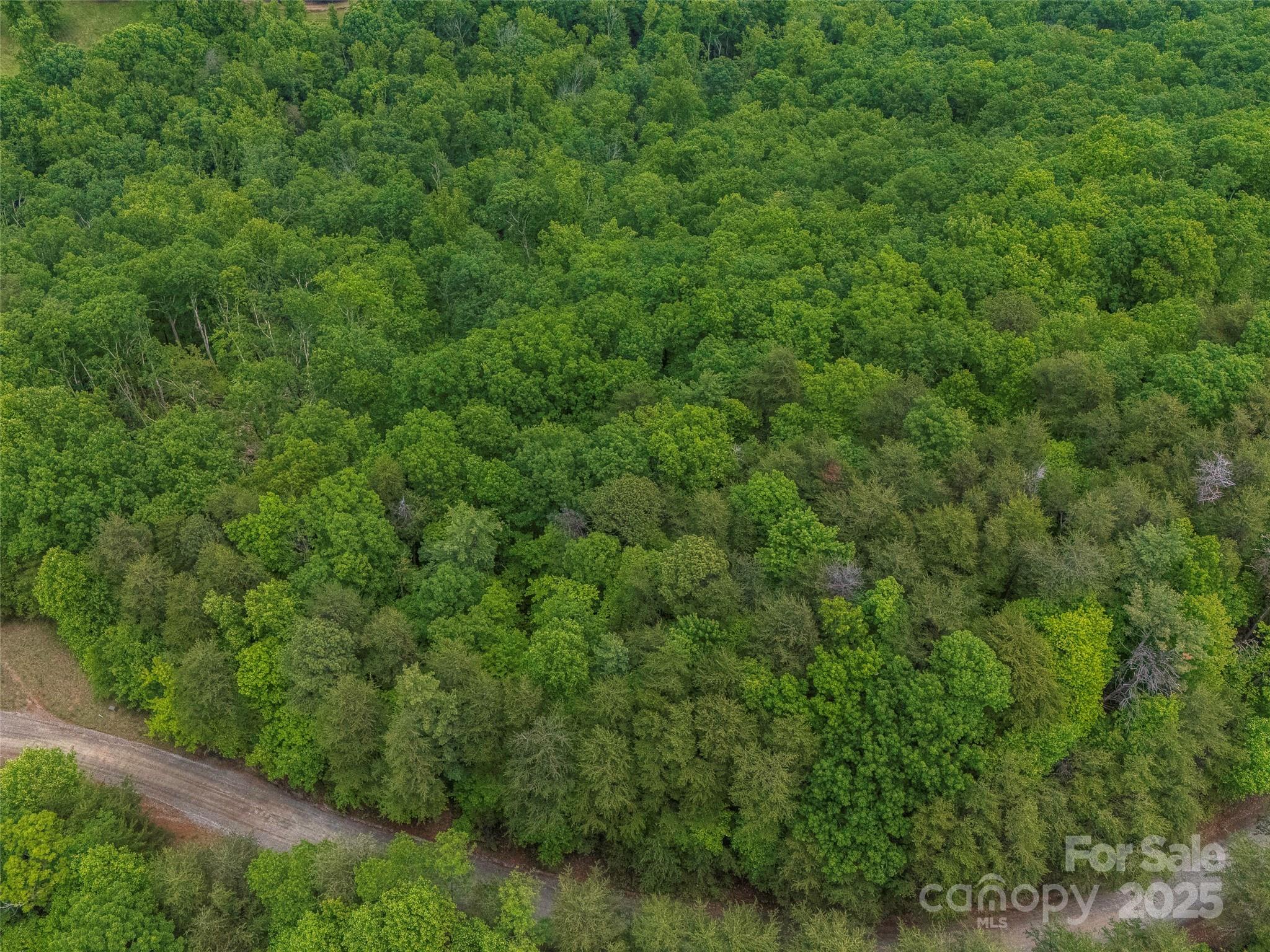 6.48-acres Pinnacle Parkway, Unit 20 Rutherfordton, NC 28139 - Photo 3 of 7 a view of a field of grass and trees