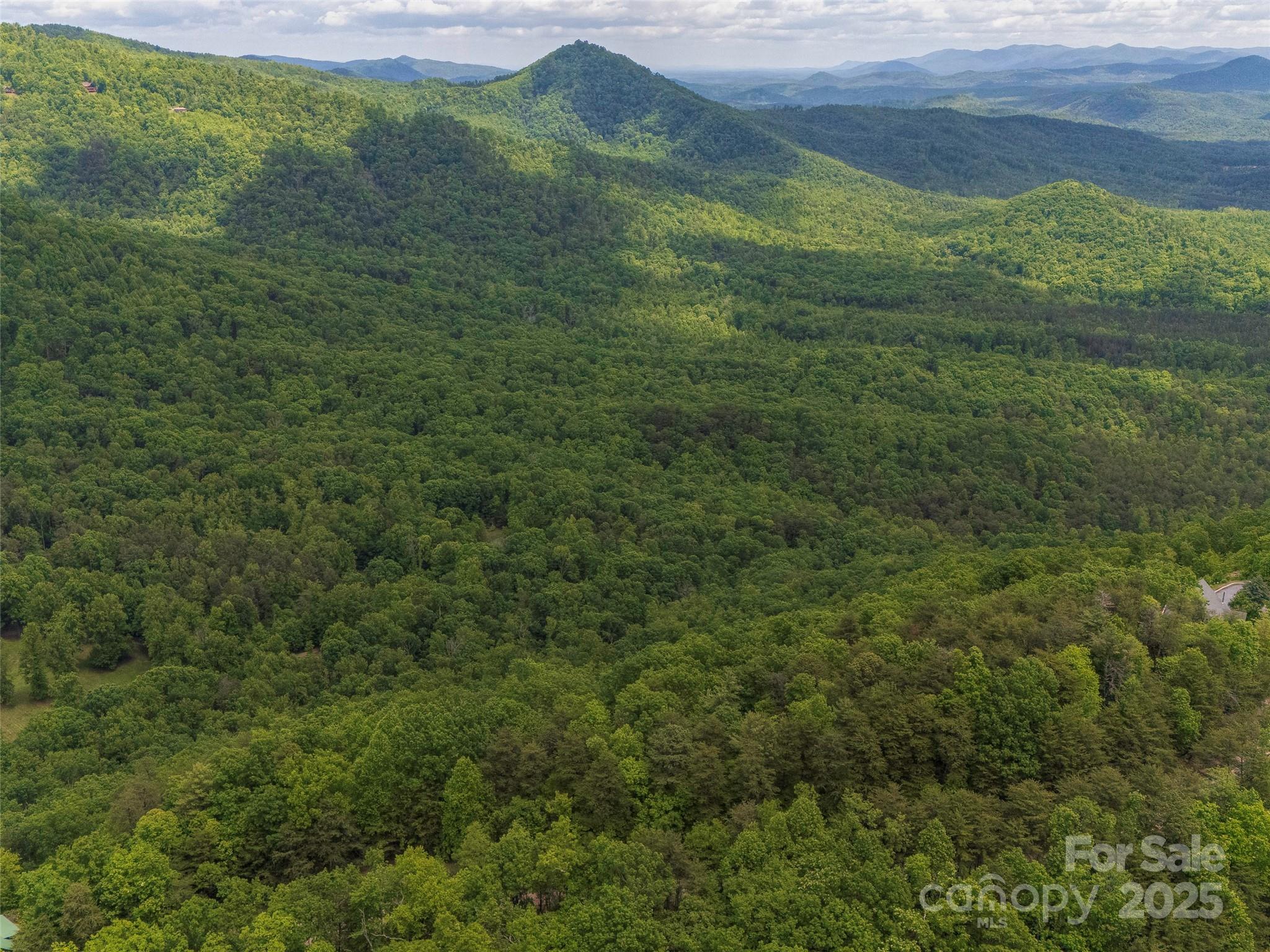 6.48-acres Pinnacle Parkway, Unit 20 Rutherfordton, NC 28139 - Photo 4 of 7 a view of a lush green forest with a mountain
