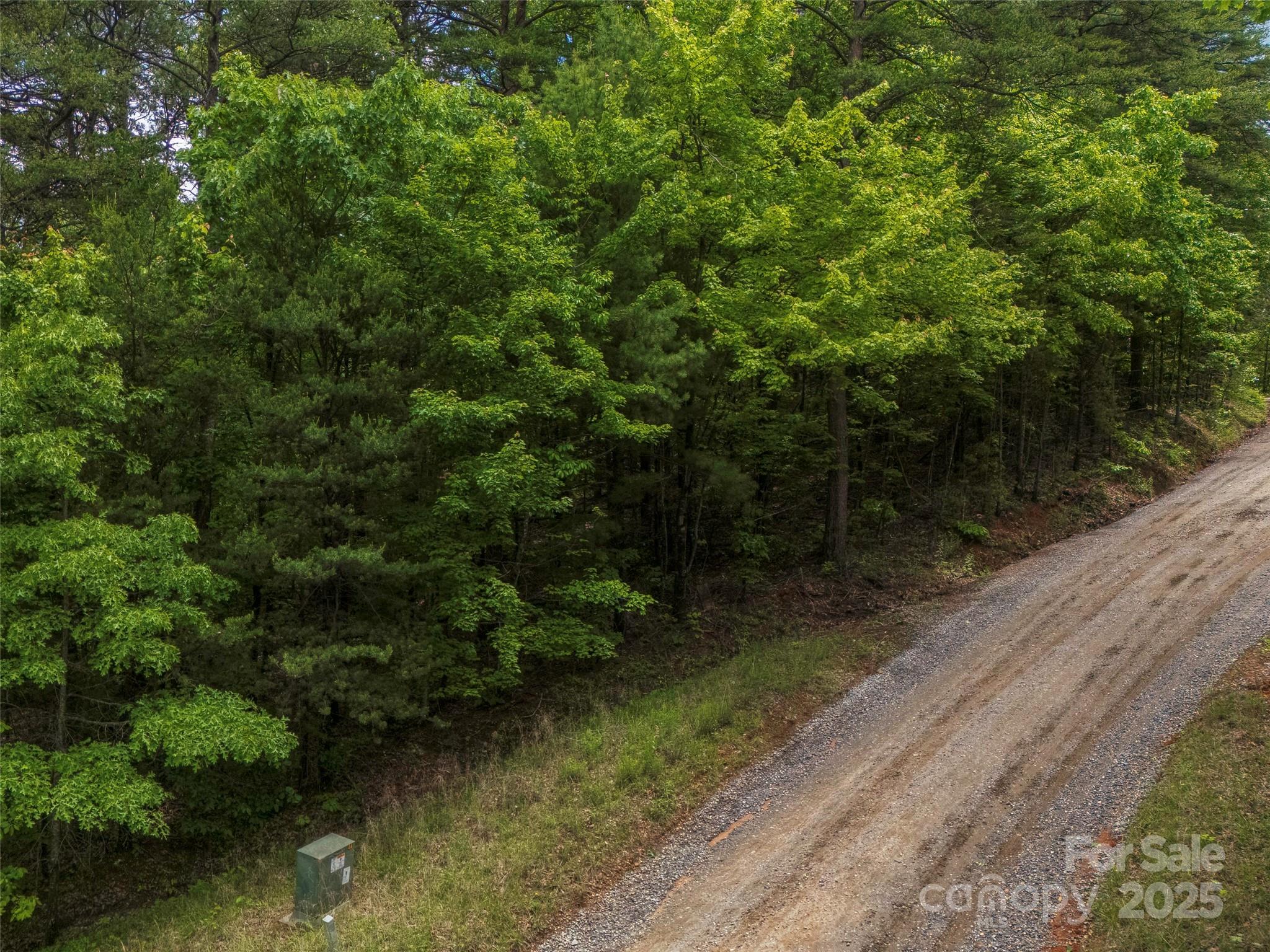 6.48-acres Pinnacle Parkway, Unit 20 Rutherfordton, NC 28139 - Photo 6 of 7 a view of a forest with a tree