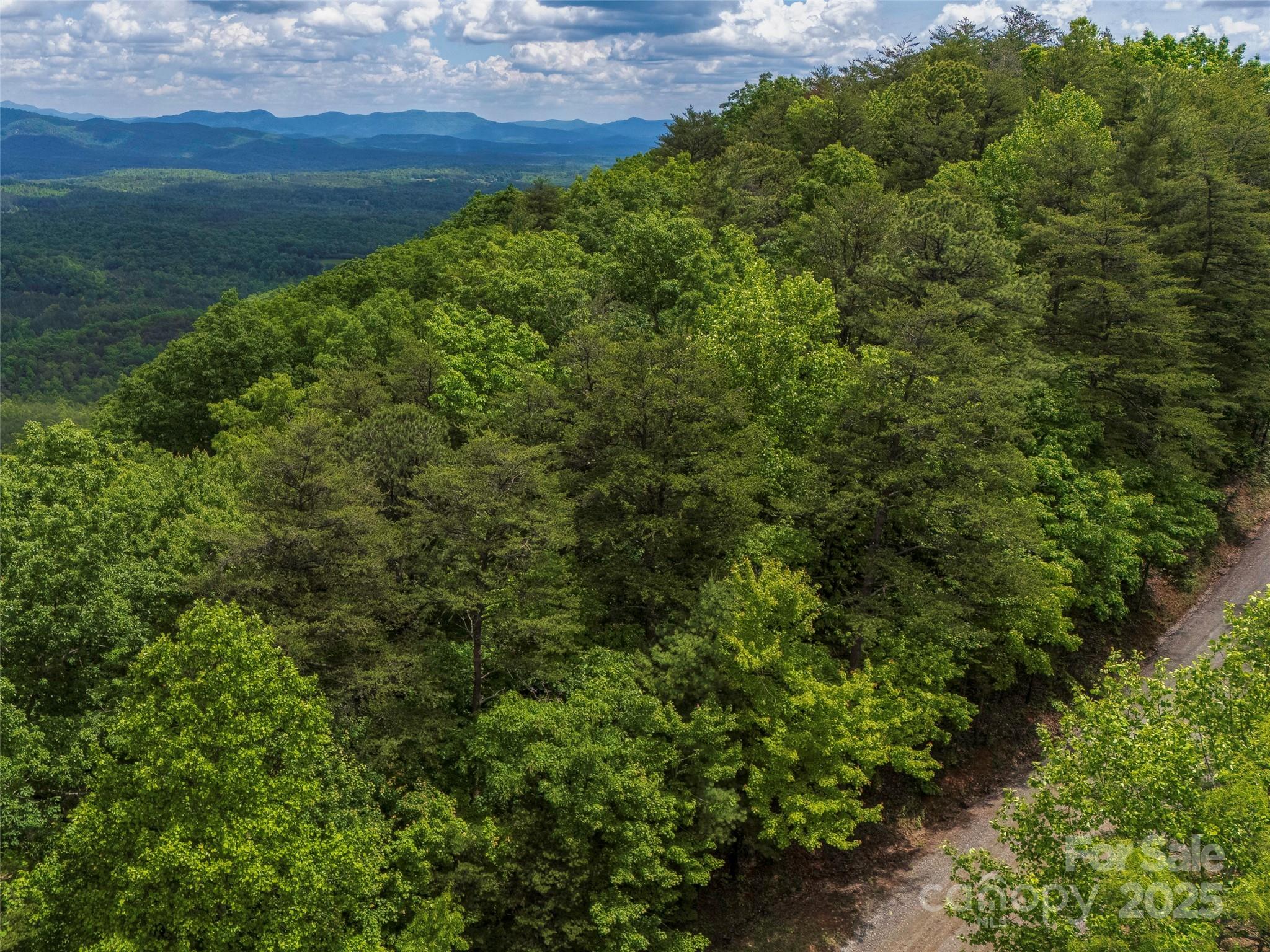 6.48-acres Pinnacle Parkway, Unit 20 Rutherfordton, NC 28139 - Photo 7 of 7 a view of a green field with lots of bushes