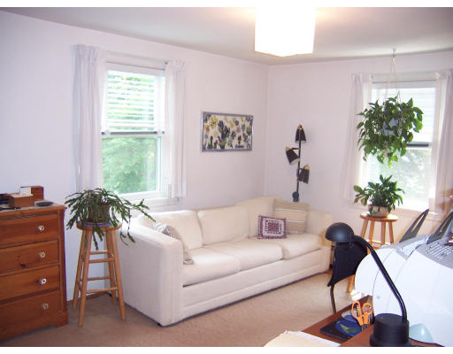 11 Puritan Road Arlington, MA 02476 - Photo 4 of 7 a living room with furniture and a potted plant