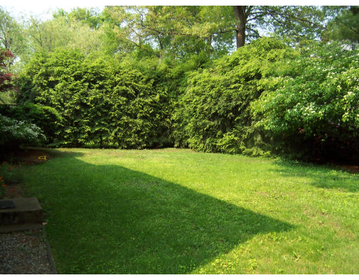 11 Puritan Road Arlington, MA 02476 - Photo 7 of 7 a view of yard with green space