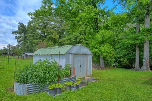 a front view of a house with a yard and trees