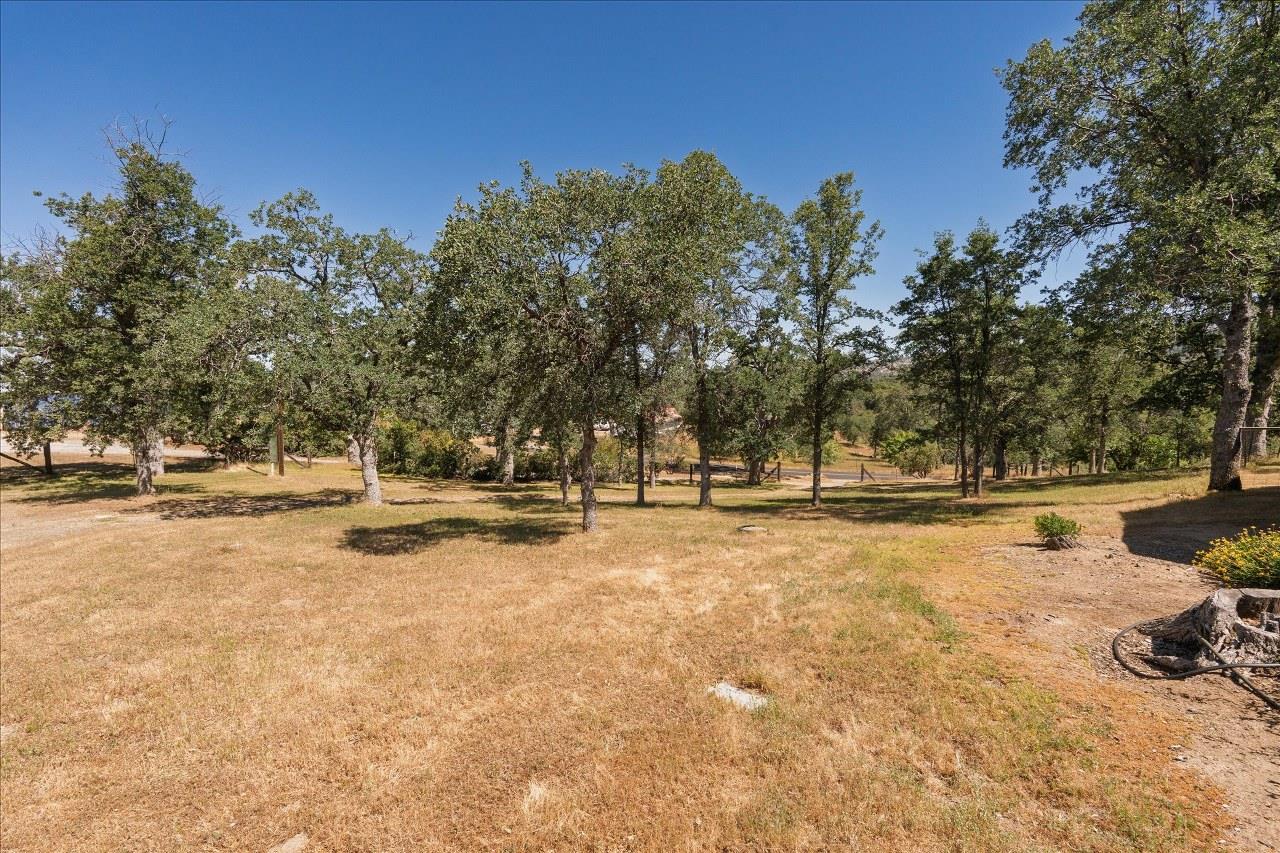 44358 Trabuco Road Coarsegold, CA 93614 - Photo 58 of 64 Gallery Image 58
