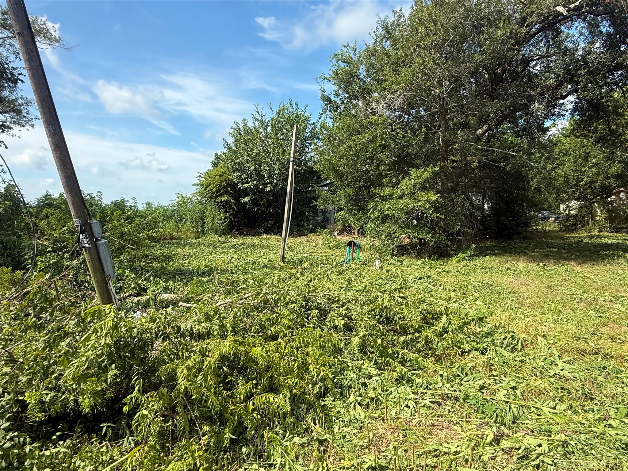 2311 West Tavener Road Beasley, TX 77417 - Photo 6 of 10 Gallery Image 6