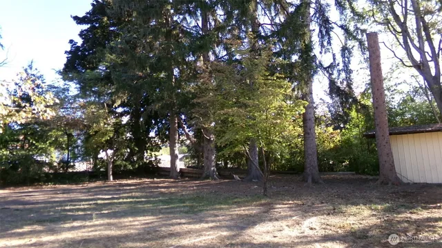 a view of a tree in front of a house