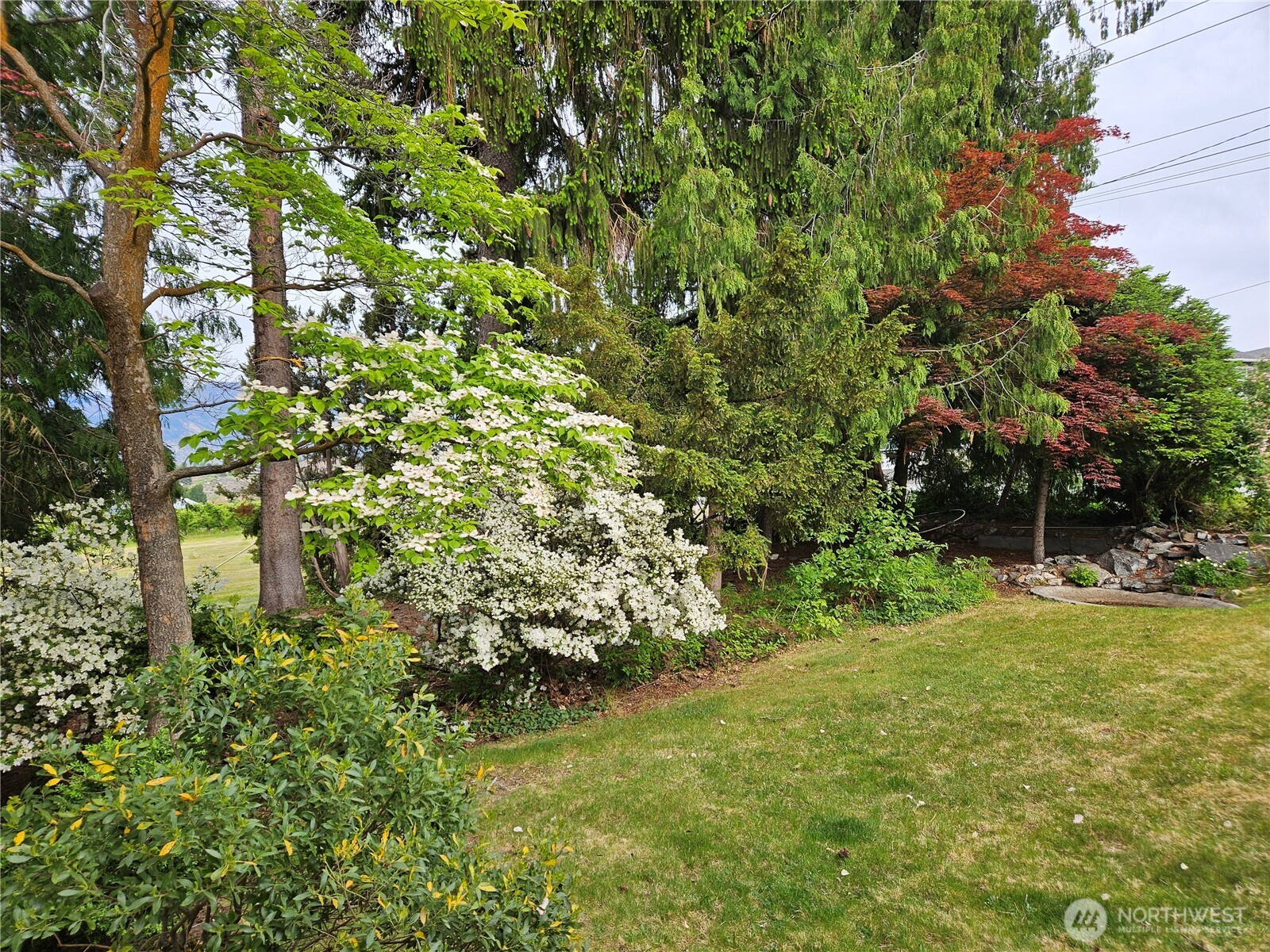 1555 Swartout Road Manson, WA 98831 - Photo 7 of 40 a view of yard with green space